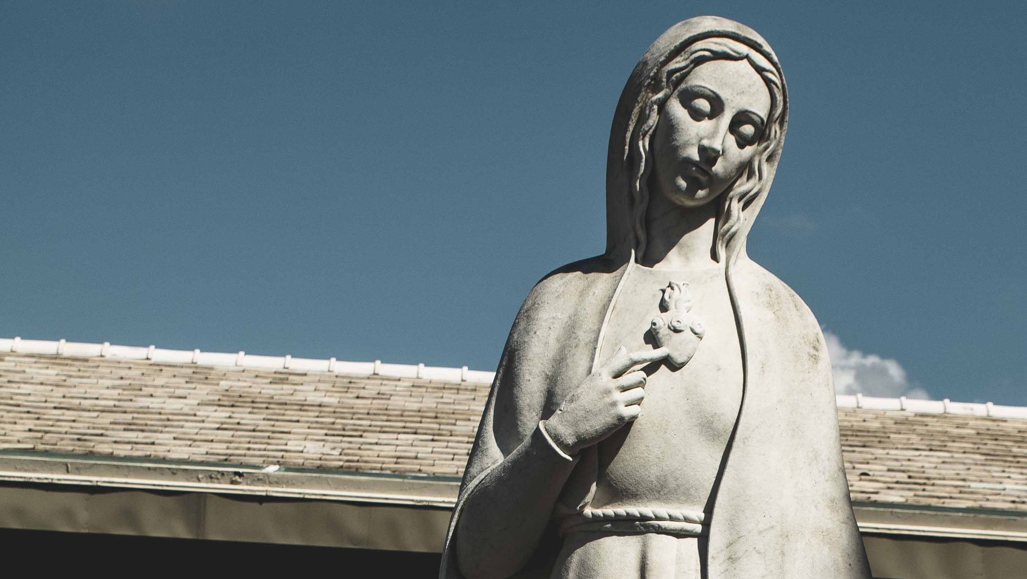 Fr. Pete's Homily - Assumption of Mary 2020