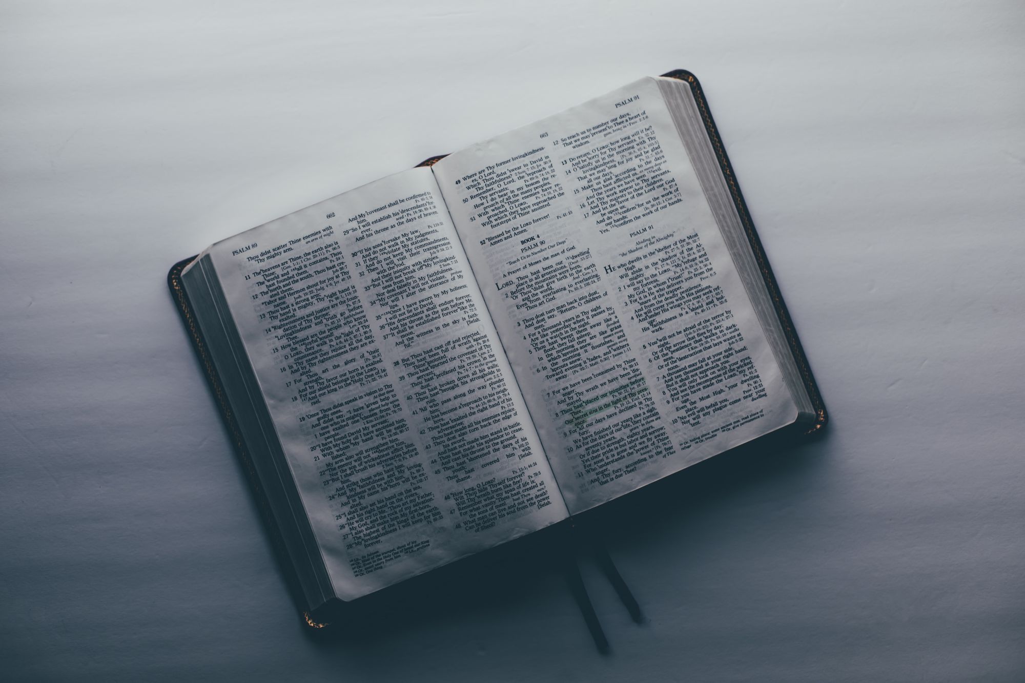 Dcn. Bill's Homily for the 33rd Sunday in Ordinary Time