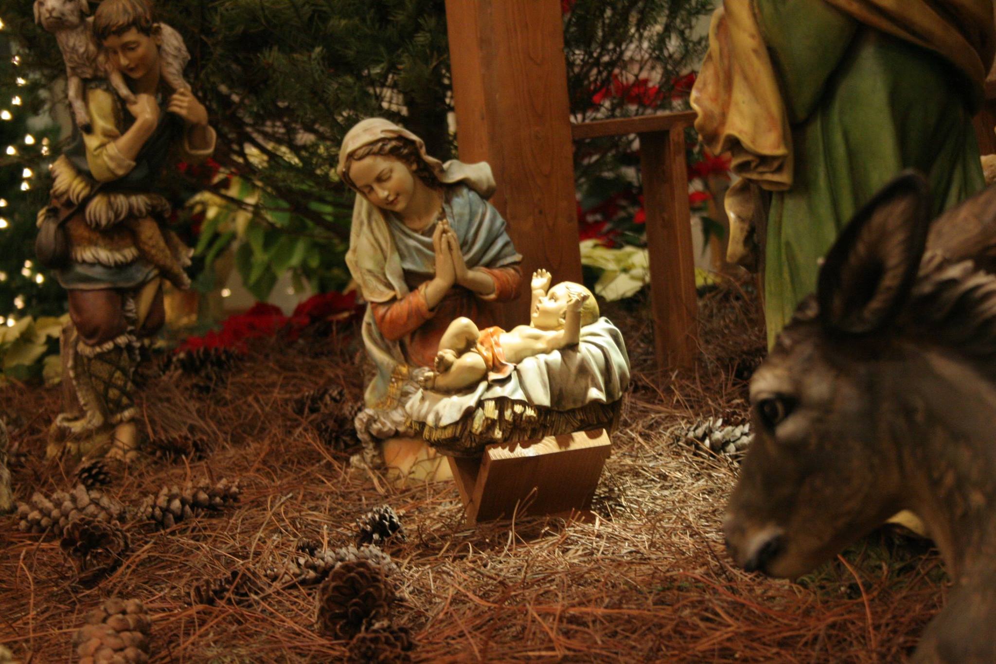 Christmas Eve & Christmas Day Information