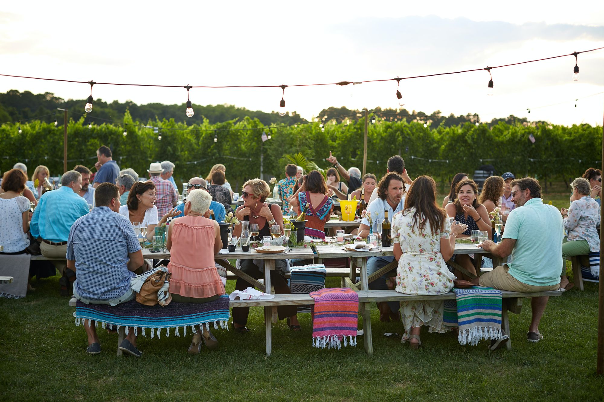 Parish Picnic & Ministry Fair