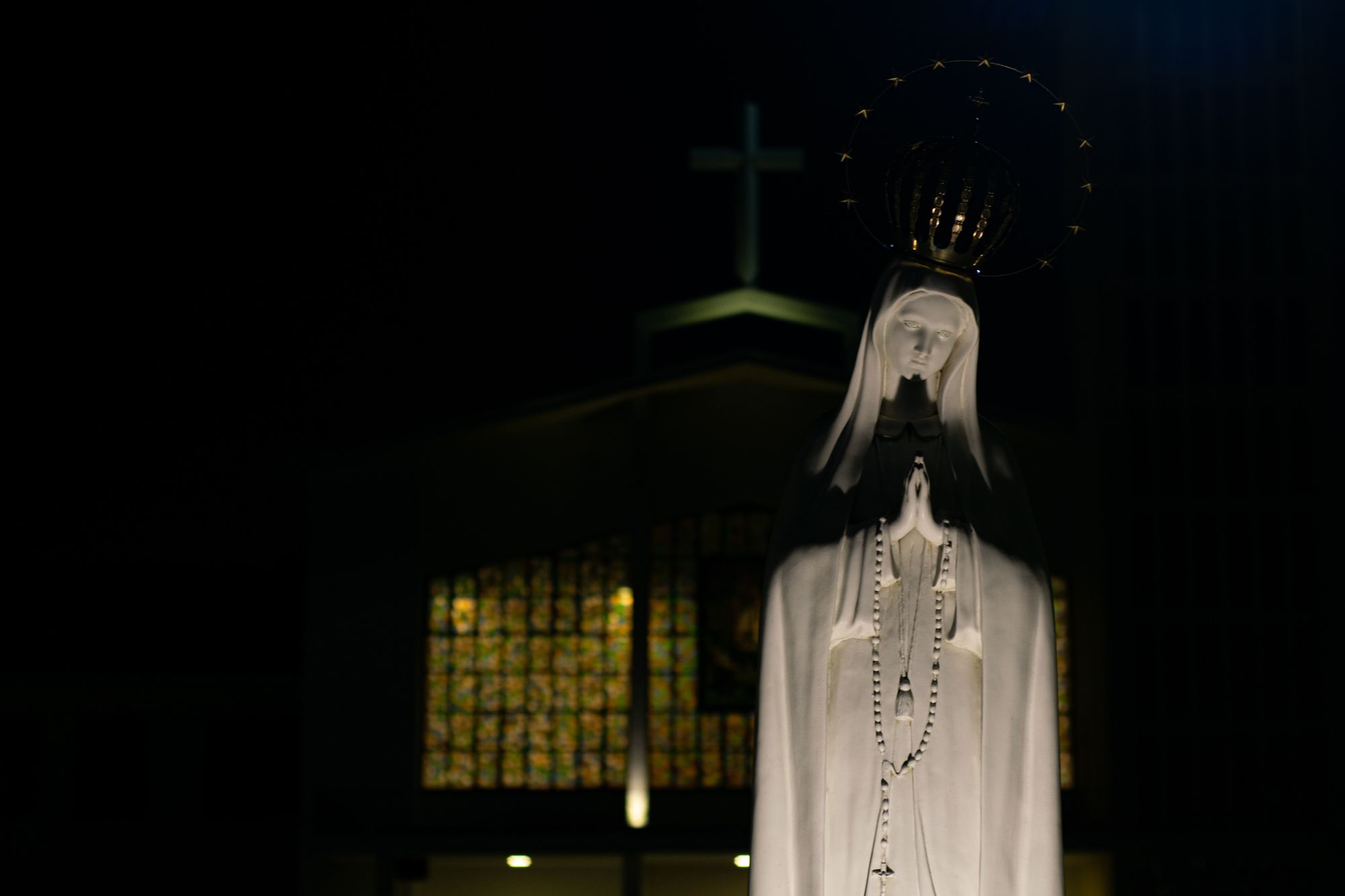 Fr. Adam's Homily - Assumption of Mary