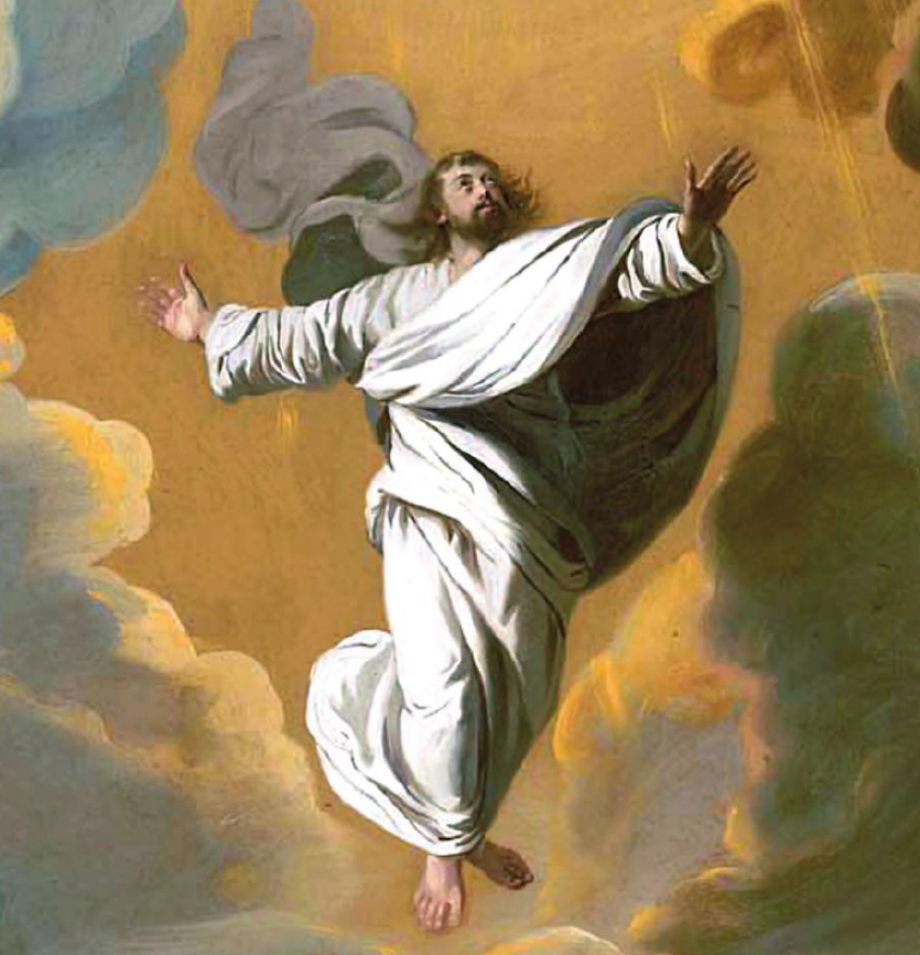 Bulletin for Sunday, November 14