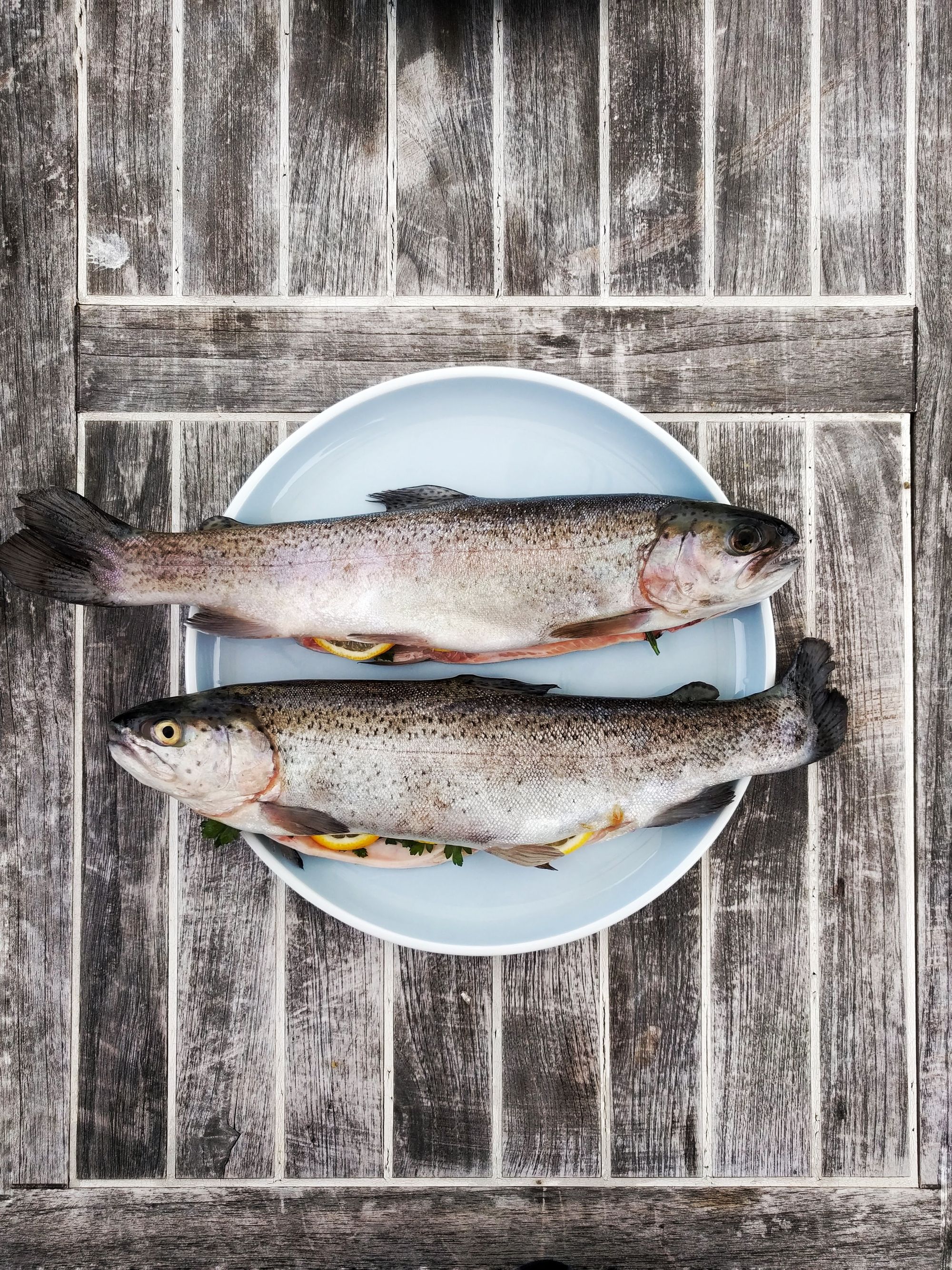 Lenten Fish Dinner - March 4