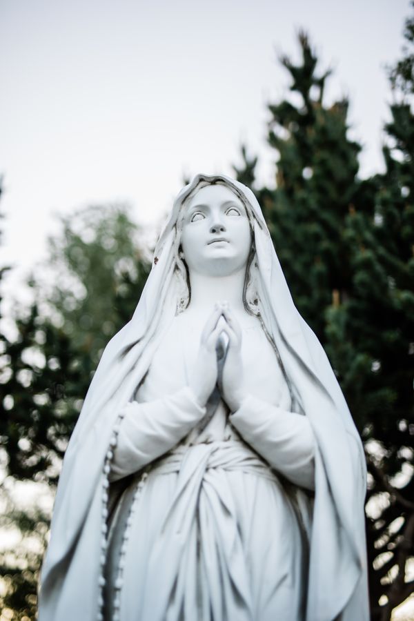 Saturday Morning Mass - August 15, 2020 - Feast of the Assumption