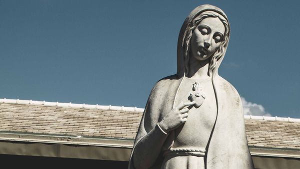 Fr. Pete's Homily - Assumption of Mary 2020