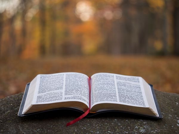Fr. Adam's Homily - 23rd Sunday in Ordinary Time