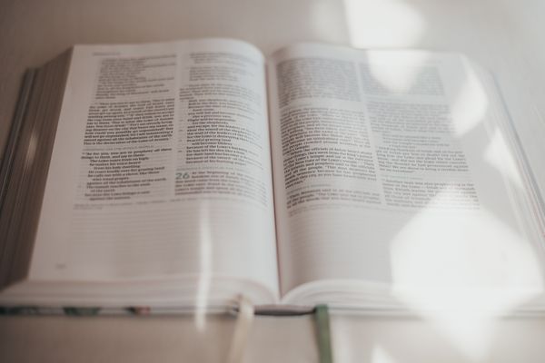 Dcn. Bill's Homily - 25th Sunday in Ordinary Time