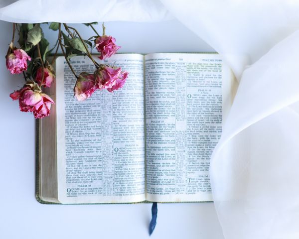 Fr. Adam's Homily - 30th Sunday in Ordinary Time | Homilía del Padre Adán XXX Domingo del Tiempo Ordinario