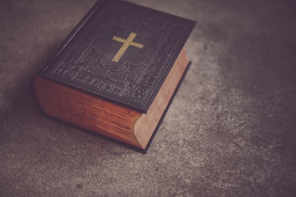 Fr. Adam's Homily - 26th Sunday in Ordinary Time | Homilía de Padre Adán - XXVI Domingo del Tiempo Ordinario