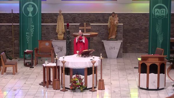 Thursday Noon Mass - November 12, 2020
