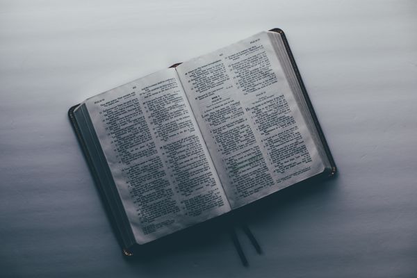 Dcn. Bill's Homily for the 33rd Sunday in Ordinary Time