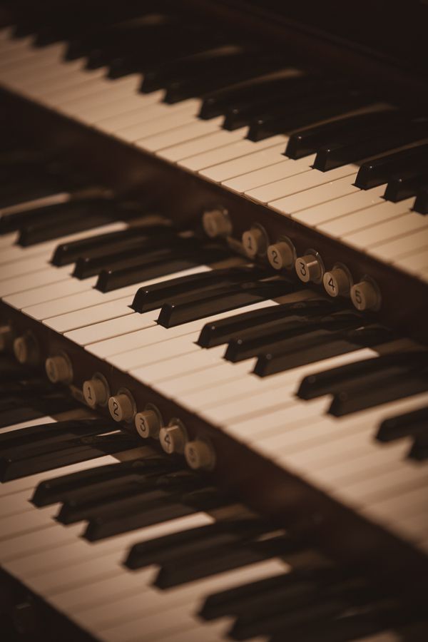Virtual Recital No. 5