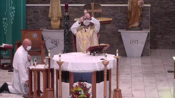 Wednesday Morning Mass - November 11, 2020