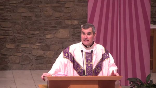 Fr. Pete's Homily - 3rd Sunday of Advent | Homilía del Padre Pedro para el Tercer Domingo de Adviento
