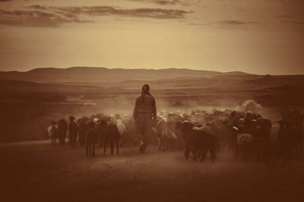 Homilía de Padre Adán - Cuarto Domingo de Pascua