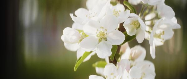 Funeral Mass - Richard Mittler - May 17, 2021