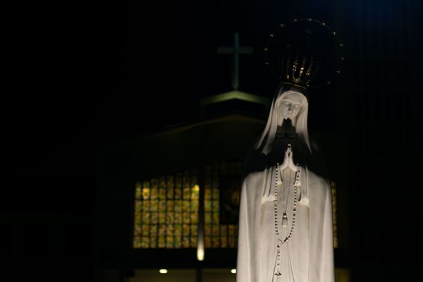 Fr. Adam's Homily - Assumption of Mary