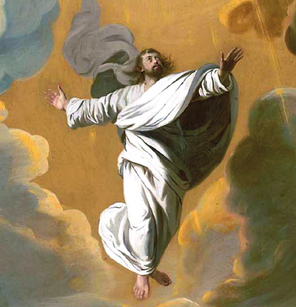 Bulletin for Sunday, November 14