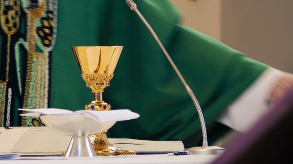 Homilía de Padre Alex - Trigésimo primer Domingo del Tiempo Ordinario