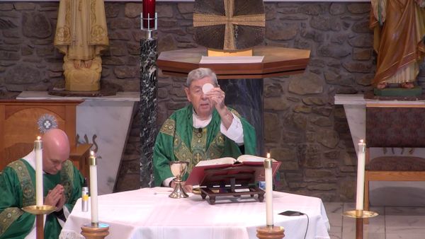 Tuesday Noon Mass - February 1, 2022