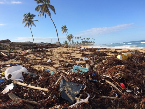 52 Ways to Care for Creation - Week 8
