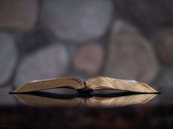 Fr. Pete's Homily - Twenty-second Sunday in Ordinary Time