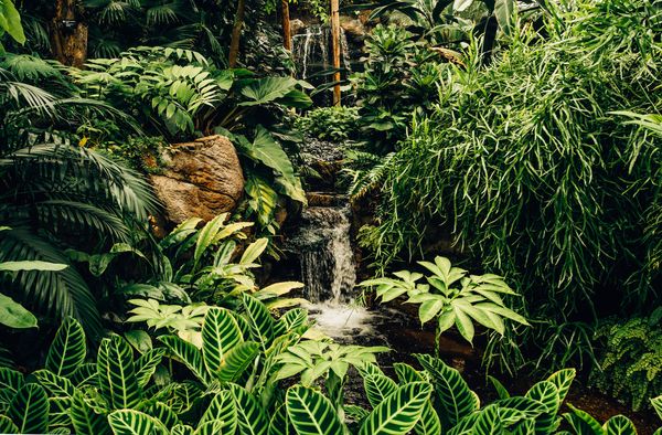 52 Ways to Care for Creation - Week 10
