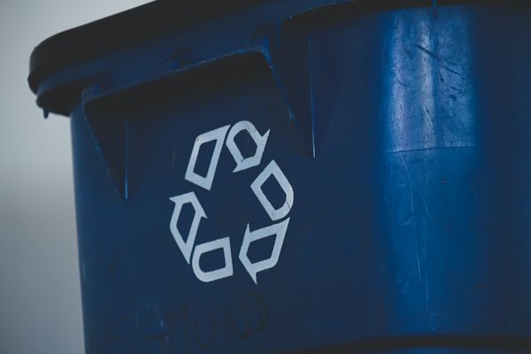 52 Ways to Care for Creation - Week 13